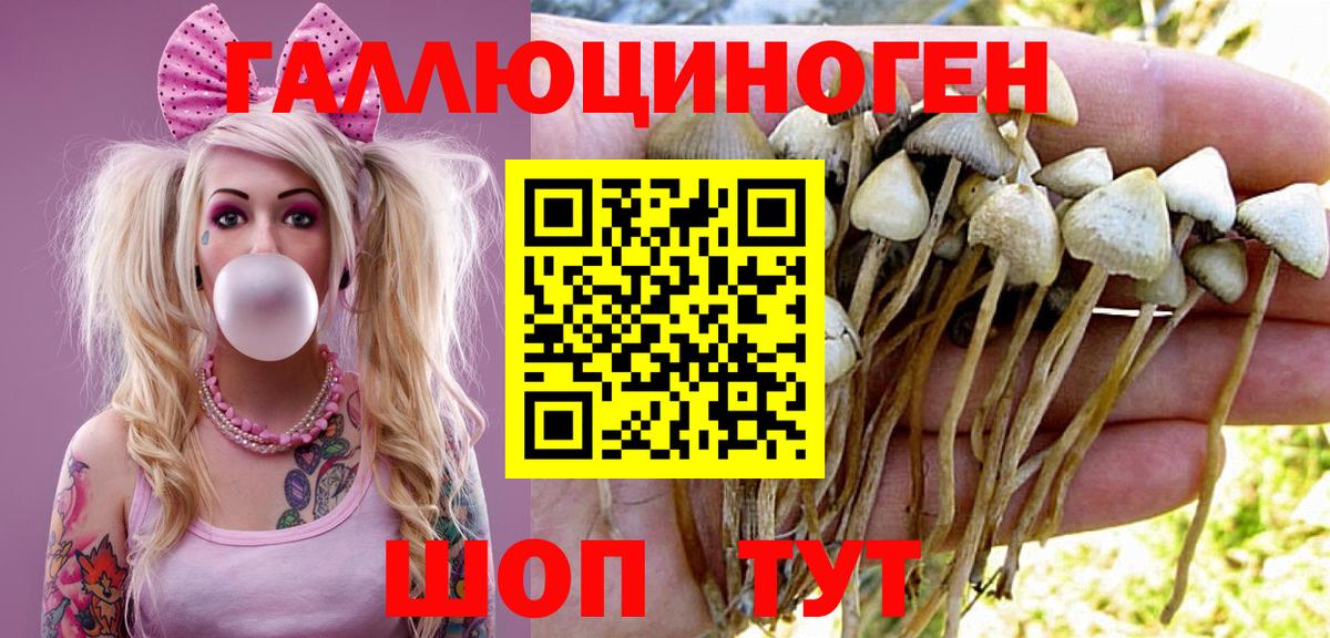 Псилоцибиновые грибы Psilocybine cubensis  Вход с VPN  где продают наркотики  Псилоцибиновые грибы Psilocybine cubensis  Бирск 